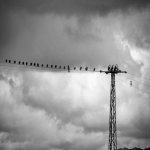 跨境电商营销方法