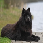 怎么注册亚马逊帐号