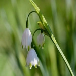 如何在亚马逊开店-