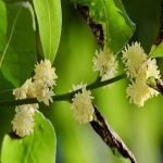 好用的外贸软件