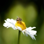 不同的营销方式，谷歌推广如何收费