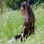 bing在线翻译插件