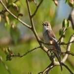 法国假期有哪些？