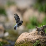 网上购物有哪些网站 -