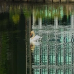 十大品牌物流公司有哪些 ？