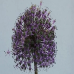 亚马逊合仓该如何设置