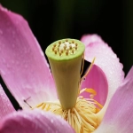 亚马逊品牌备案流程_2