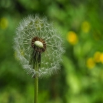 虾皮开店注册步骤详解