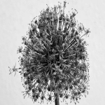 亚马逊全球开店流程