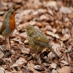 浙江省义乌市小商品批发市场在跨境中的作用