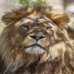 何谓关键词加购功能?