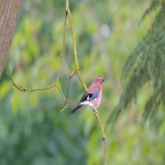 跨境电商企业有哪些