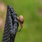 谷歌网站优化推广方案