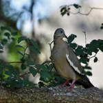 Shopee视频教程全解析