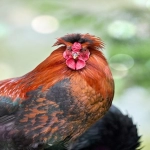 沃尔玛电商平台具备怎样的特点?