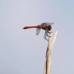 Bing怎么关广告?