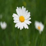 疫情对跨境电商的影响