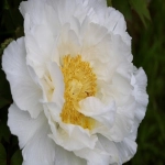 高清图片哪里找