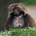 B端客户和C端客户的区别在哪?