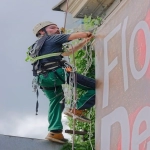 bingads广告范例有哪些