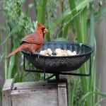 铭宣转运是一家什么公司