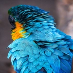 如何对接第三方支付接口-对接支付接口操作流程分享