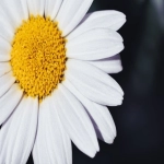 沃尔玛电商入驻条件