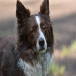 推特账号遭冻结，如何应对？