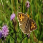 沃尔玛入驻条件有哪些