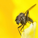 twitter和facebook有什么区别