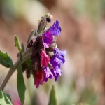 如何在雅虎Yahoo上投放广告？