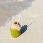 ChatGPT跨境女装选品应用