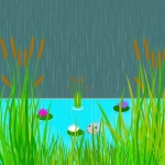 facebook开店代运营