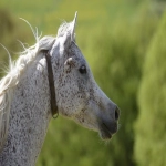 露天拍卖网:探索网络拍卖的无限可能