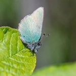 跨境卖家必备：模板建站推荐平台及评估