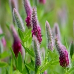 谷歌优化提升网站排名的方法