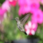 寻找性价比高的Facebook广告开户服务？