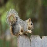 Bossgoo全球贸易通:开启国际贸易新纪元