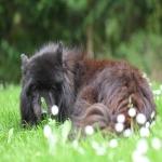 透视中国海关统计：数据背后的经济密码