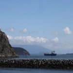 海运LSS是什么费用