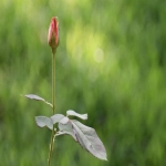 ebay入驻条件及费用是什么？