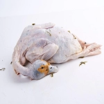 生鲜电商平台有哪些