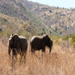 鲁班跨境通怎么样