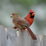 如何高效实施Google广告投放策略？