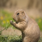 公司怎么开离岸账户-全面解析离岸账户开户流程