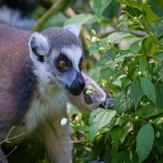 外贸建站哪个公司好进