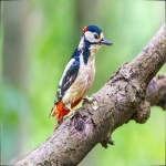 深入了解ebay美国：一站式在线买卖平台