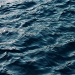 Wayfair与亚马逊的对比之处。