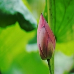 北京facebook开户