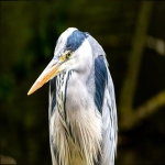 印度港口有哪些